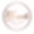 bloom logo.png