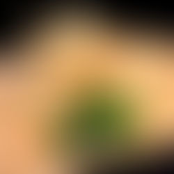 3/19(木)本日のおすすめ🦑