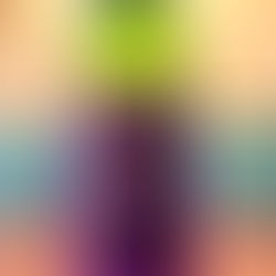 4/27(月)本日のおすすめ🍅