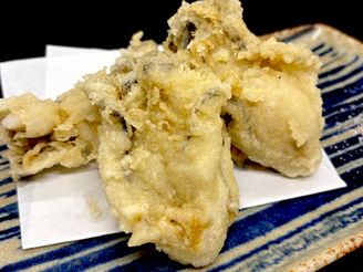 5/27(火)本日のおすすめ🐚