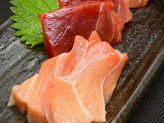 12/23(火)本日のおすすめ🐚