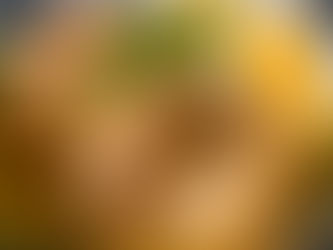 11/28(金)本日のおすすめ🐖