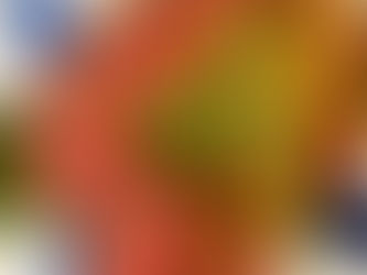 6/29(日)本日のおすすめ🐙