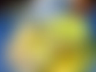 2/26(木)本日のおすすめ🐟