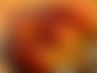 7/17(木)本日のおすすめ🌽