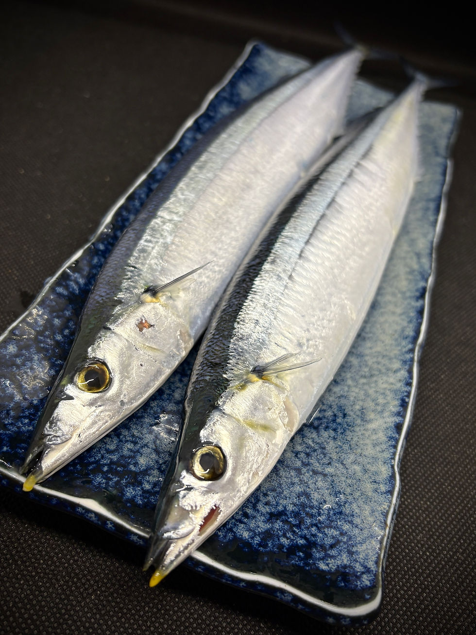 9/6(土)本日のおすすめ🦀