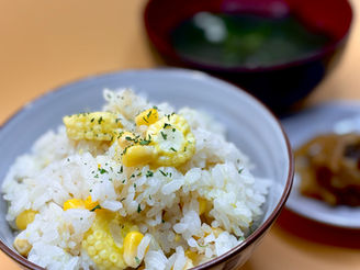 5/19(火)本日のおすすめ🌽