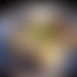 2/16(月)本日のおすすめ