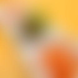 4/25(土)本日のおすすめ🦑