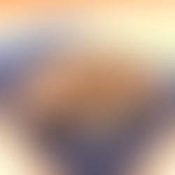 4/26(日)本日のおすすめ🐟