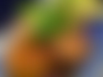 12/1(月)本日のおすすめ🍄