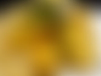 7/10(木)本日のおすすめ🐚