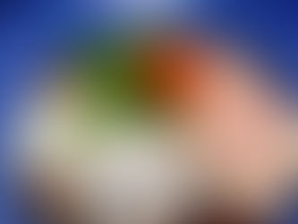 12/12(金)本日のおすすめ🌬