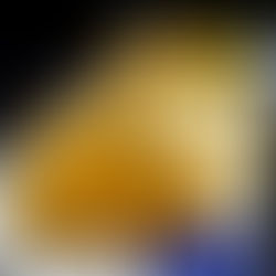 12/9(火)本日のおすすめ🐔