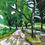 Thumbnail: Wollaton Park Walking from the Beeston Gate to the Lake Pack of 5 Greeting Cards