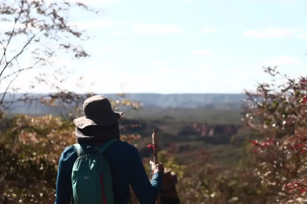 Viajante com chapéu e mochila observa um vale/cânion ensolarado, cercado por arbustos e árvores.