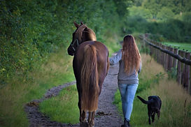 Weg mit Hund.jpeg
