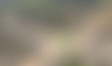 Imagina que Moises quer atravessar o Mar Vermelho em Cotriguaçu