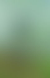 Municípios têm até o dia 15 de março para solicitar recursos do ICMS Ecológico