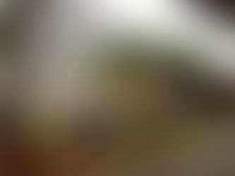 APAE Realiza Festa das Cores Em Brasnorte