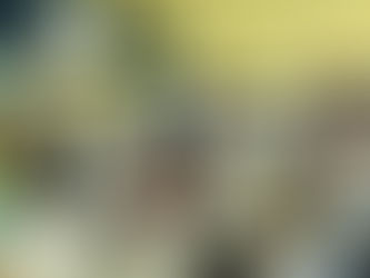Produtores de Tabaporã e Juara participam do maior projeto da pecuária mato-grossense