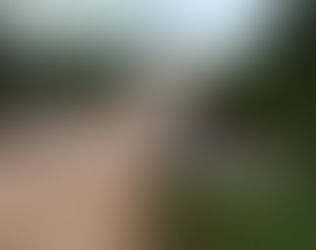 Ponte e pavimentações são obras almejadas pela população de Juruena e região