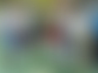 Em Castanheira Futsal tem Novos Campeões e Society novo Evento