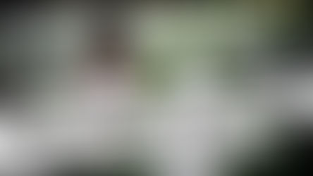 Eu e você somos uns mortos perambulando sobre a mãe terra