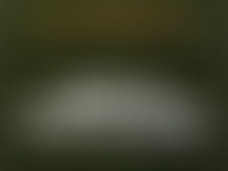 Bolsonaro é denunciado à ONU, e MPF apura atos militares sobre golpe de 1964