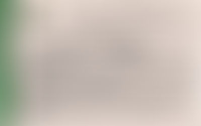 Eficiência da Sema é demonstrado na licença para a realização da pavimentação da BR 174