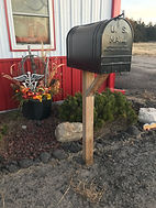 IMG_0800.jpeg