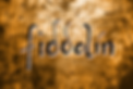 fiddolin-auf-holzrost.png