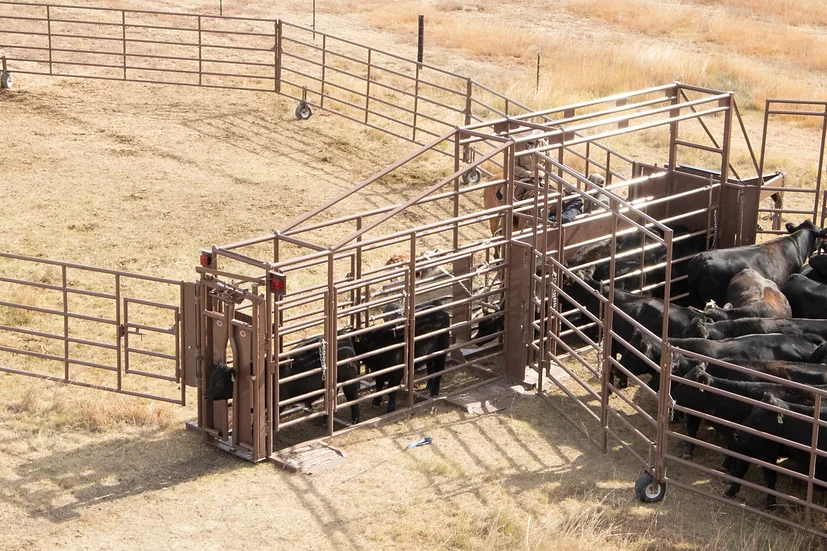 The "Duke" Wheel Corral - Gooseneck