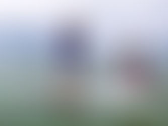 Mark and Leesa's Private Island