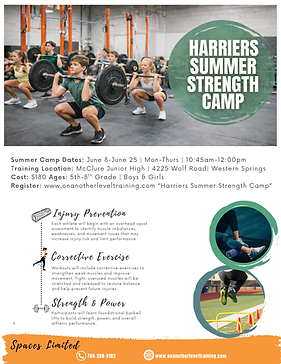 Summer Harriers Camp (2).png