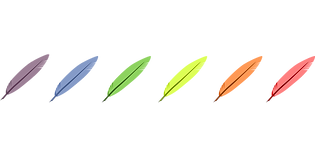 nib-153591_1280.png
