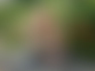 Nurturing Healthy Young Minds: Promoting Children's Emotional Well-Being