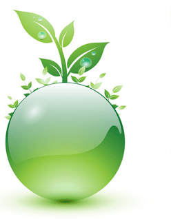 environment1