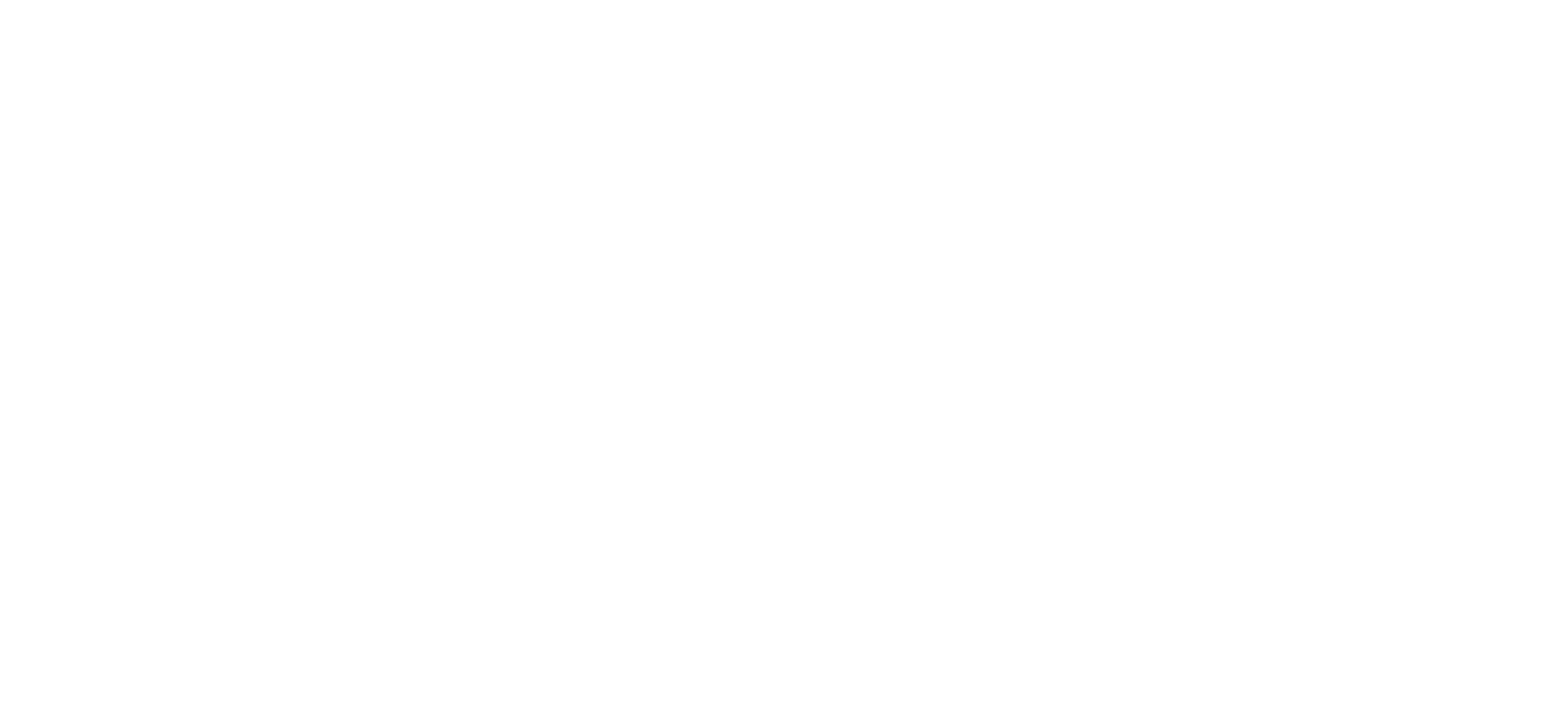 White logo - no background.png