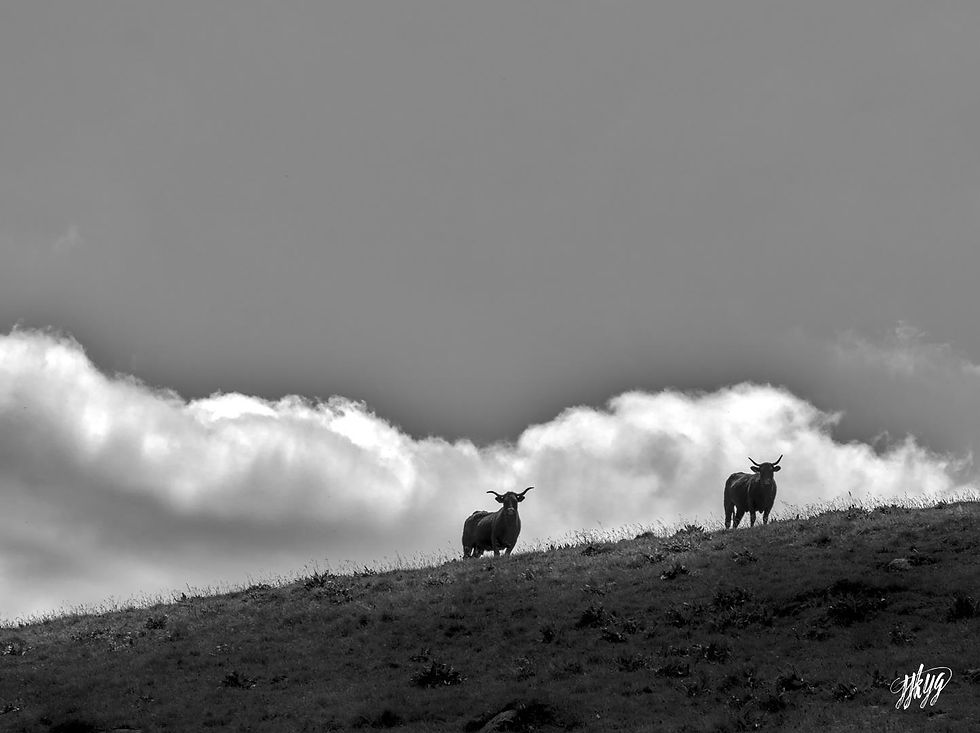 L'Auvergne sans les volcans