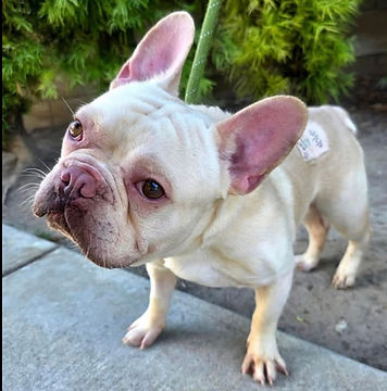 Image 9-15-25 at 8.14 PM.jpeg