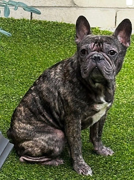 Image 10-27-25 at 10.04 AM.jpeg