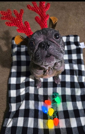 Image 11-30-25 at 4.53 PM.jpeg