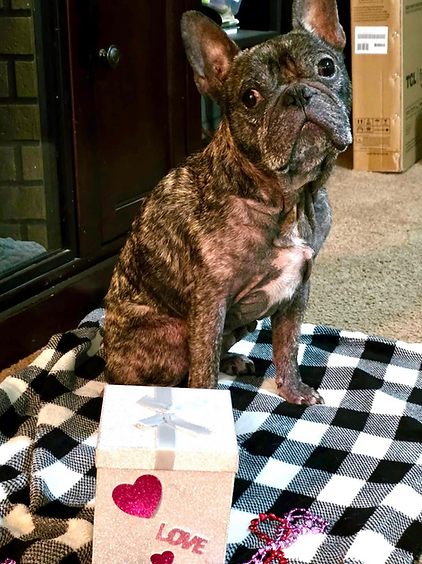 Image 2-8-26 at 8.17 AM (1).png