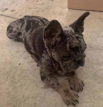 Image 9-15-25 at 3.22 PM.jpeg