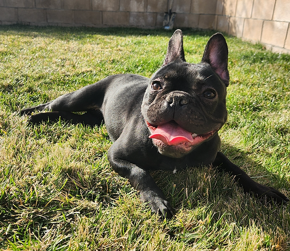 Image 1-26-26 at 1.52 PM.png