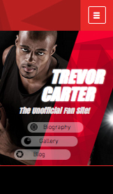 Deportes y Recreación plantillas web – Sitio de fans de basquetbol