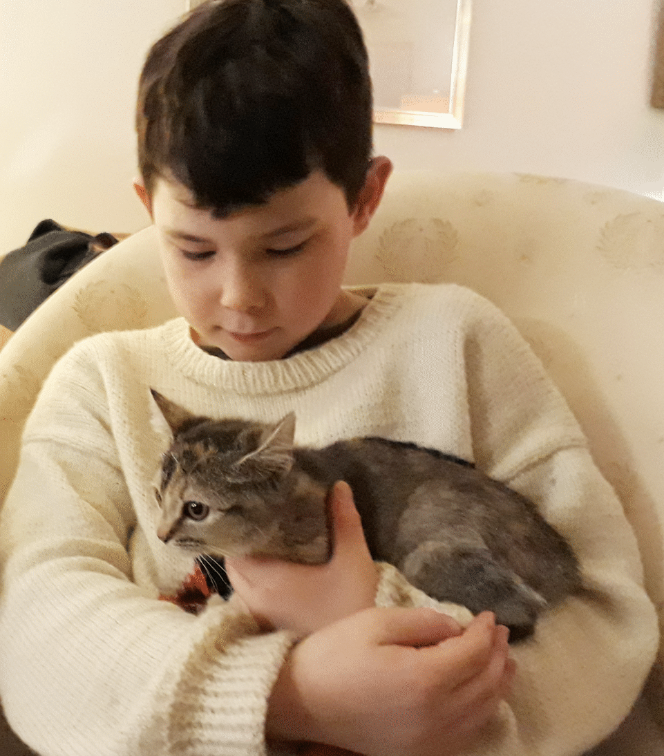 20171222_Paul-Katze.gif