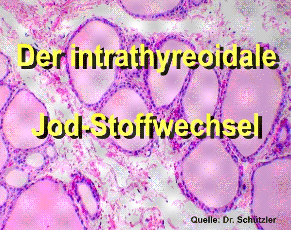 Jodstowechsel-1.gif