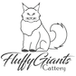 logocatttery_edited_edited_edited.png